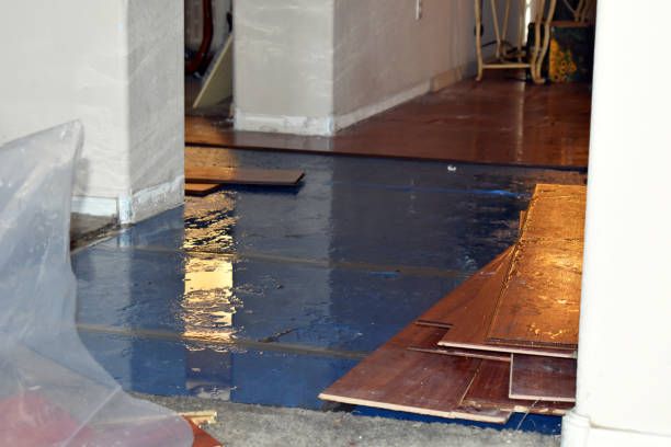 Professional Burst Pipe Cleanup technician working in Poth, TX
